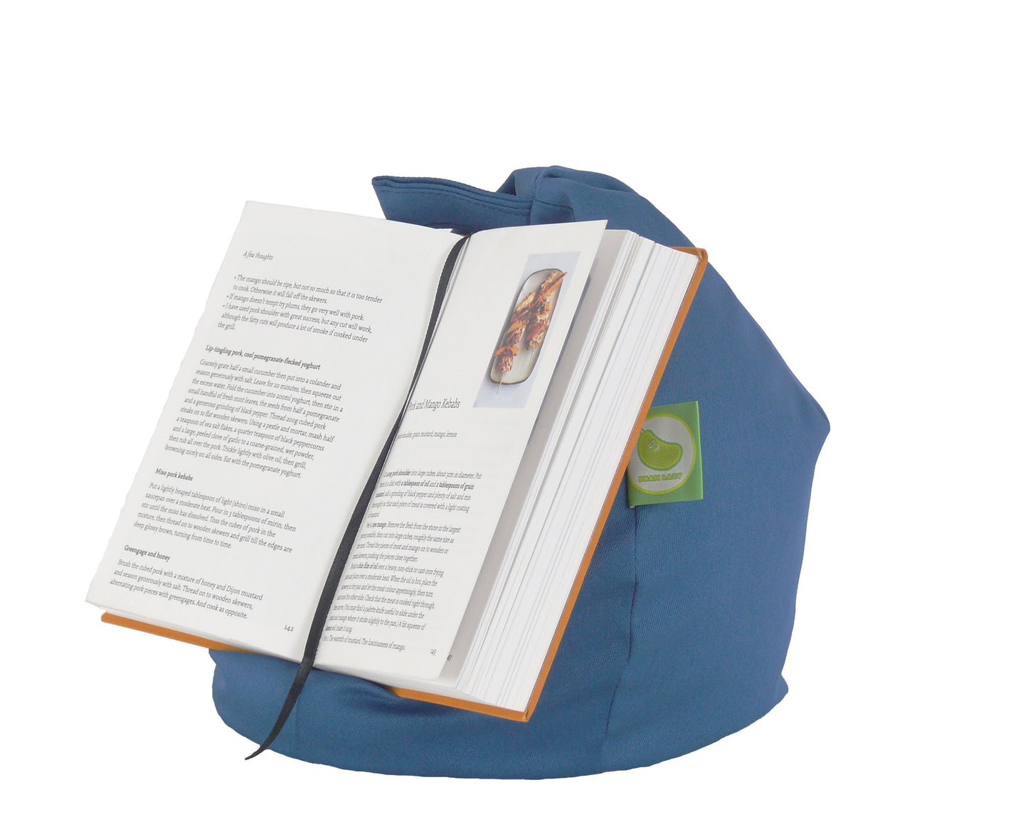 French Blue iPad, eReader & Book Mini Bean Bag
