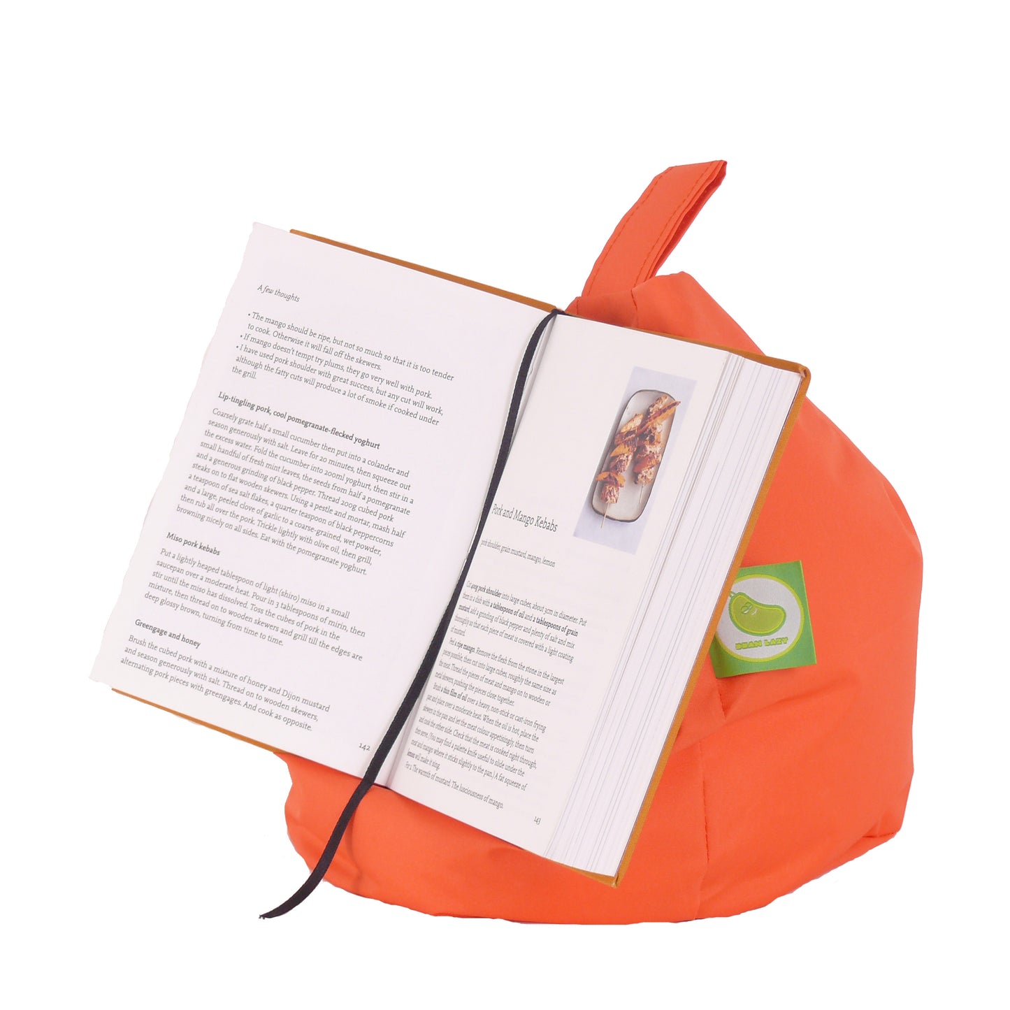 Waterproof Orange iPad, eReader & Book Mini Bean Bag